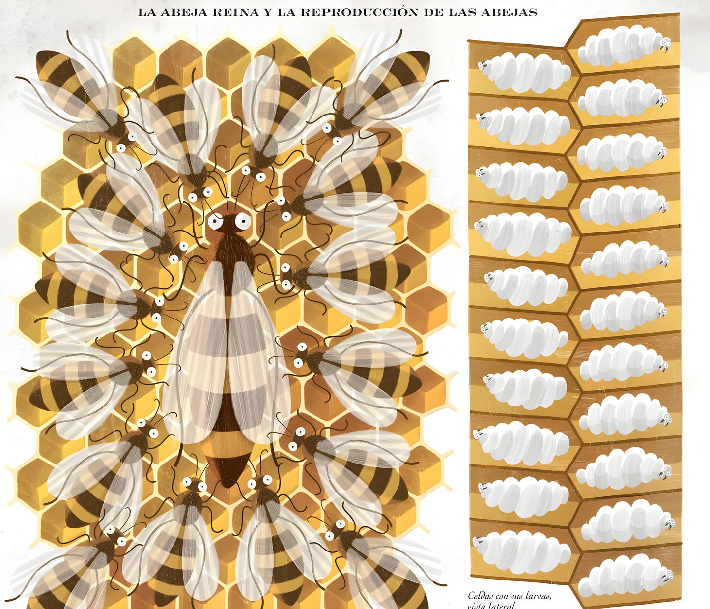 ABEJAS