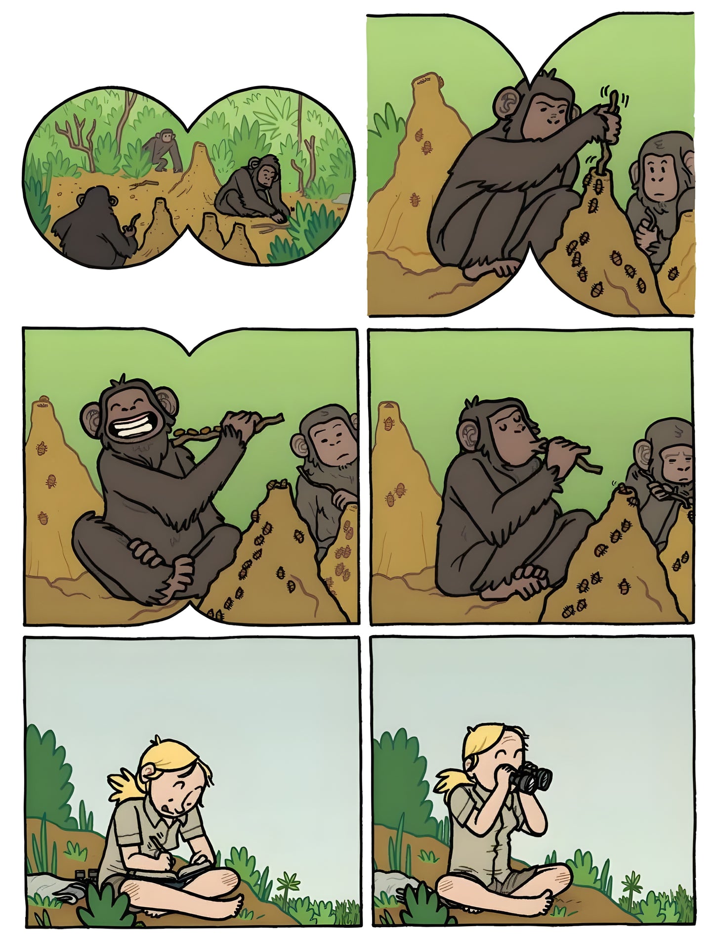 PRIMATES: LA INTREPIDA CIENCIA DE JANE GOODALL, DIAN FOSSEY Y BIRUTE GALDIKAS