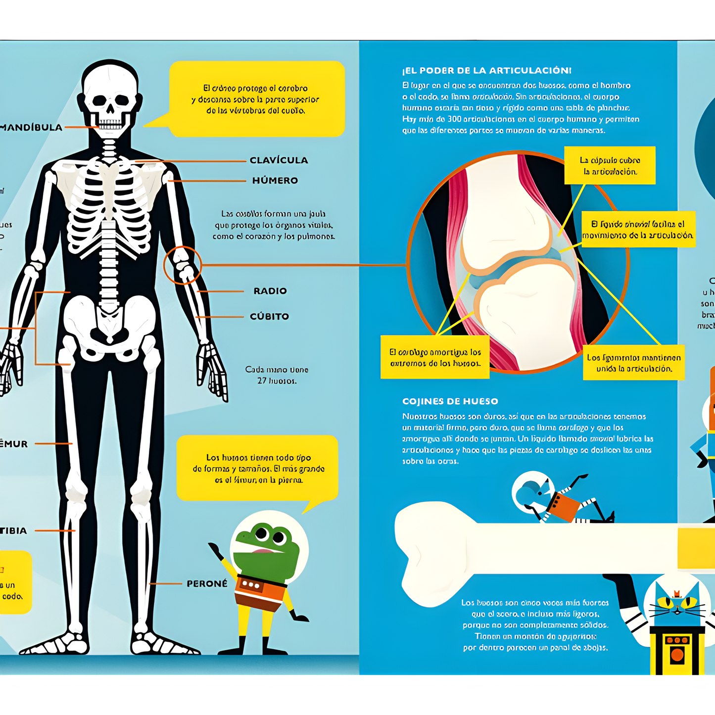 El profesor Astro Cat y la odisea del cuerpo humano