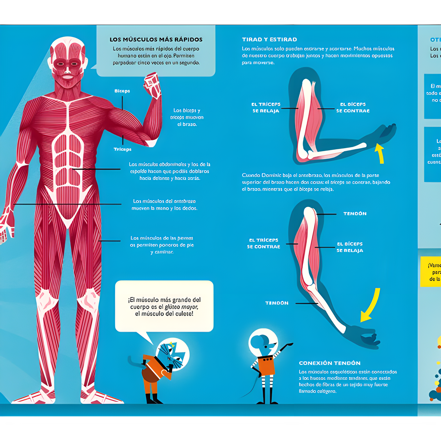 El profesor Astro Cat y la odisea del cuerpo humano