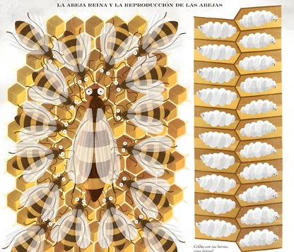 ABEJAS