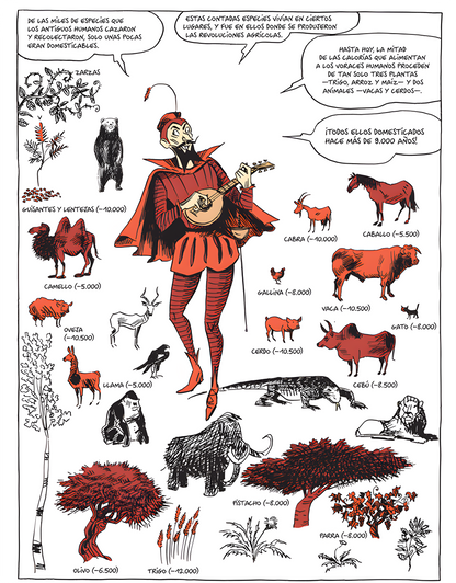 SAPIENS: UNA HISTORIA GRÁFICA