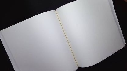 20k SKETCHBOOK VAN GOGH