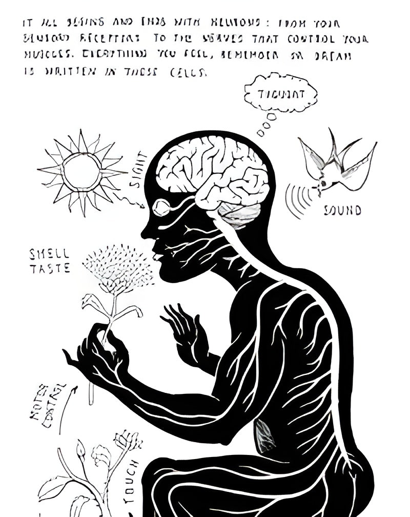 NEUROCOMIC