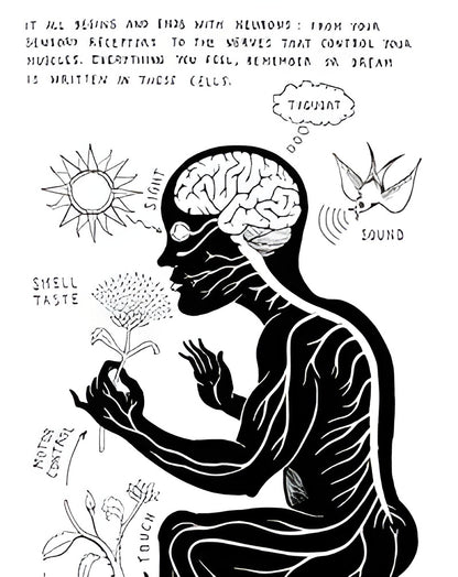 NEUROCOMIC